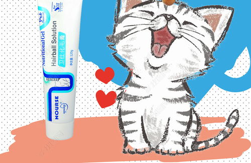 创意可爱卡通宠物猫用品dm单宣传海报kt板图片素材下载